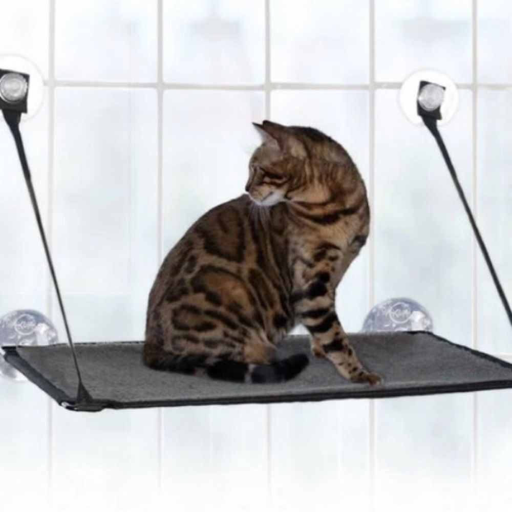 Light blue perch for your cat to put in the window with suction